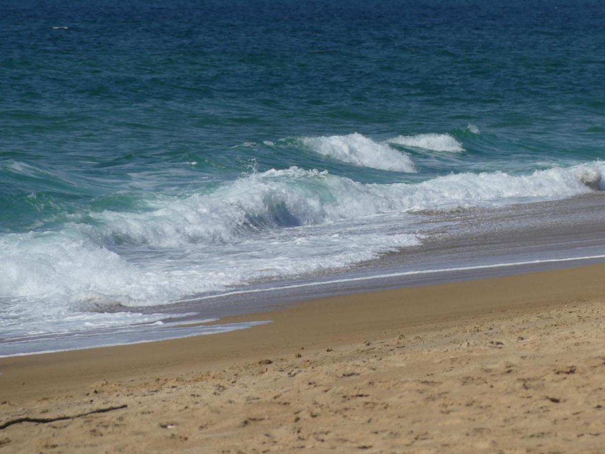 Вілла Toki Eder Chez Marisol, Piscine Chauffee, Decoration Soignee Et Ocean A 15 Minutes Entre Bayonne Et Hossegor Saint-Martin-de-Seignanx Екстер'єр фото